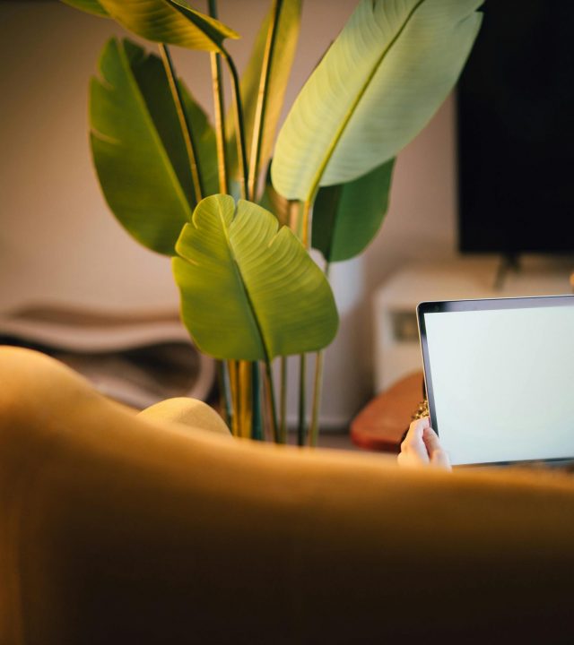 pexels-jakubzerdzicki-21342604